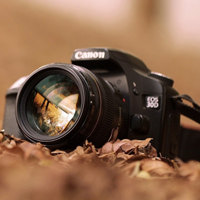 流川枫是赤木晴子的